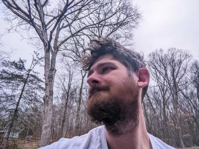 Is this a good angle for that AI art thing? 🤔