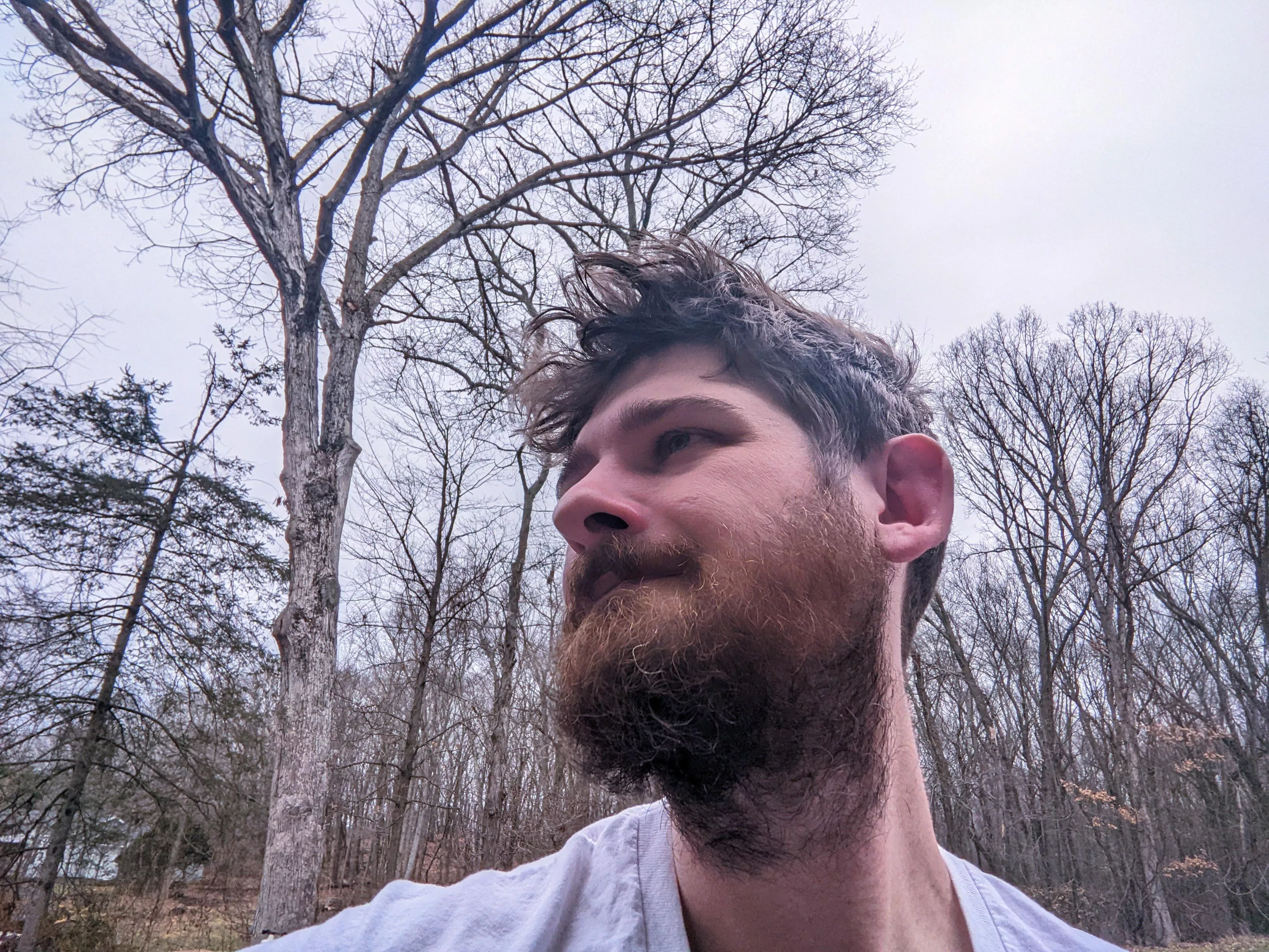 Is this a good angle for that AI art thing? 🤔