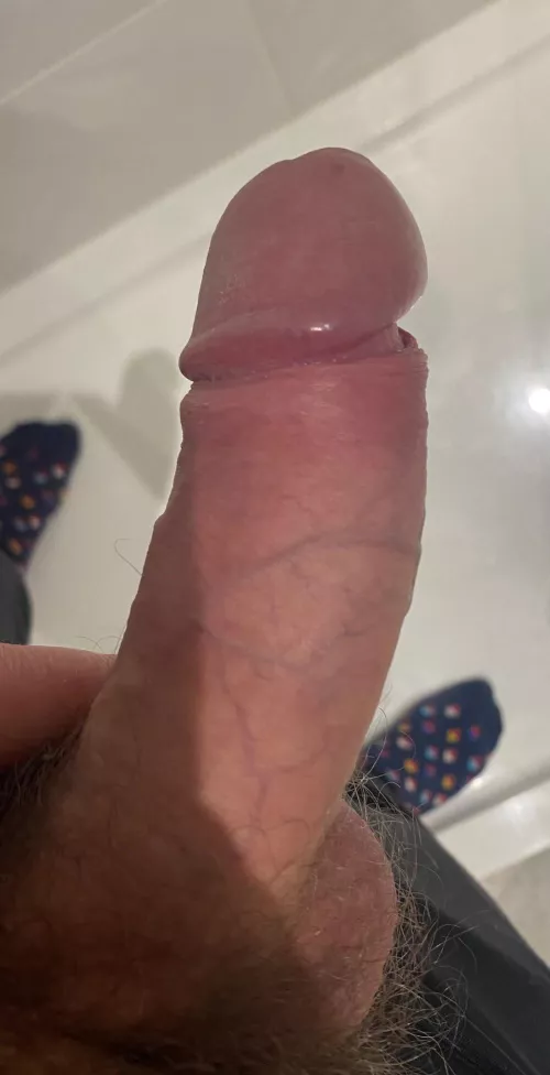 Like this uncut, veiny girth?
