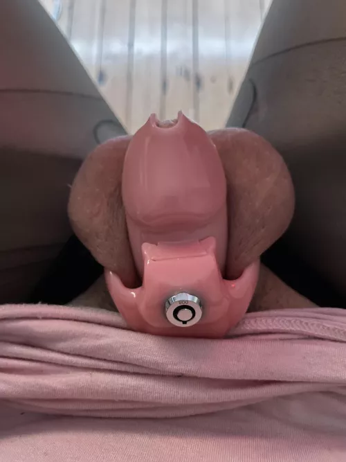 Love my new cage🥰