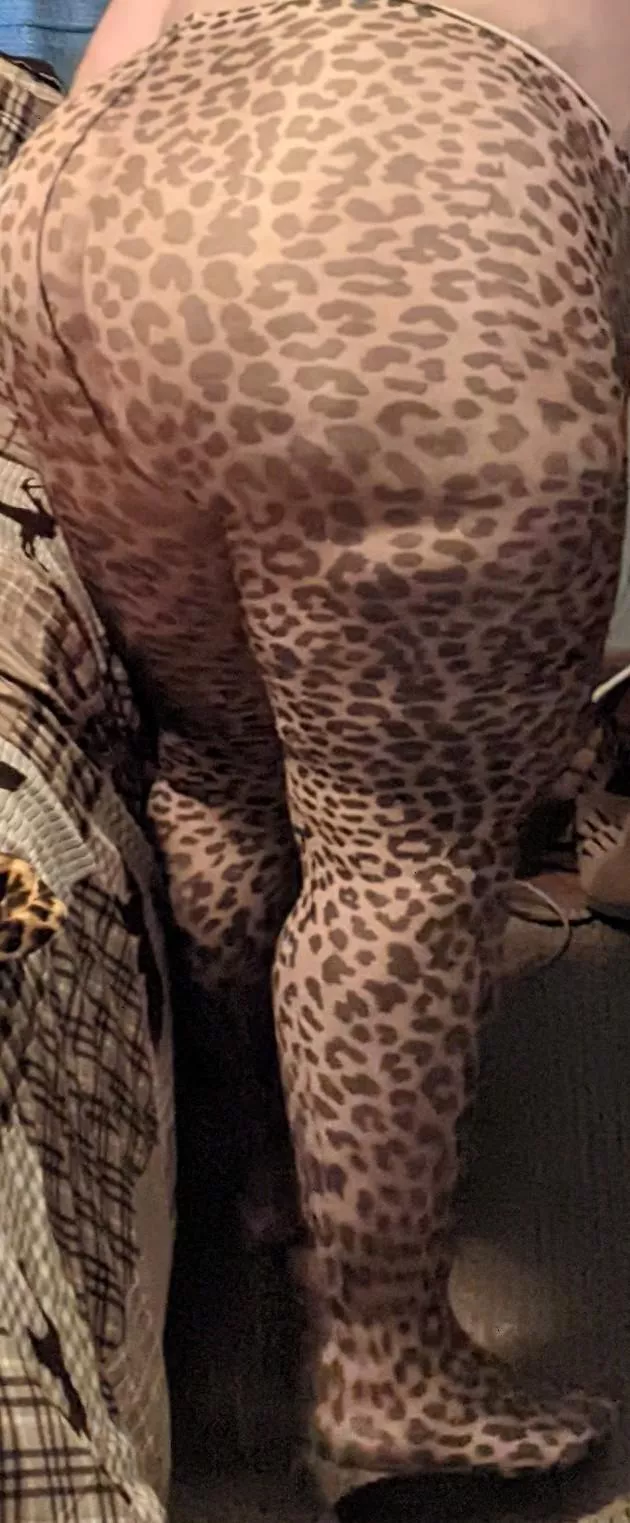 meow!!!!! these are soooo soft!