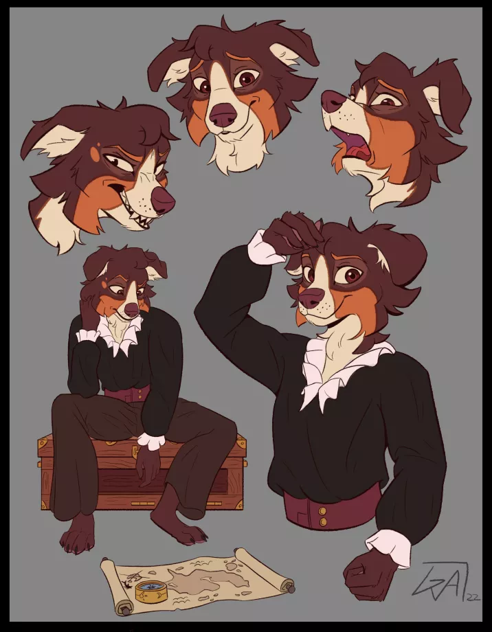 My border collie pirate, Cal. He's the ship's navigator and certified good boi :D ~ Art by me 🍪(@ArtsGalinn on Twitter)