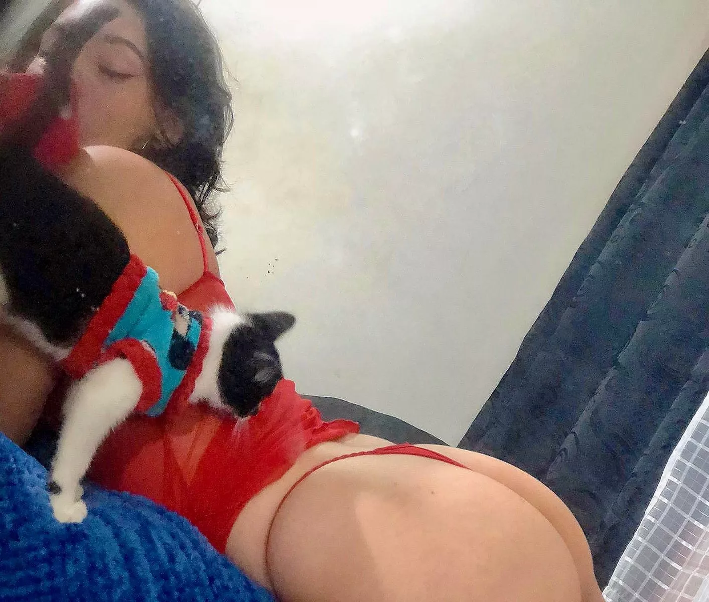 My kitty would love if you come over