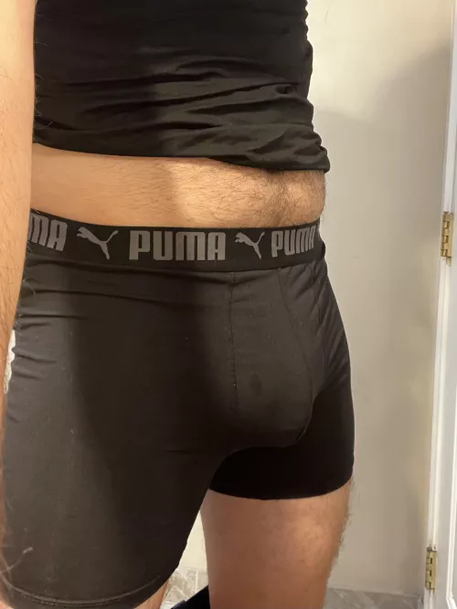 Puma boxer briefs