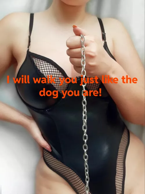 Ready for your leash?