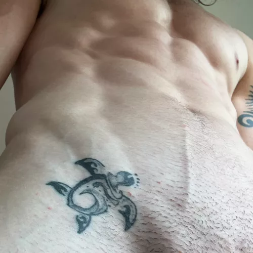 slow and steady wins the race