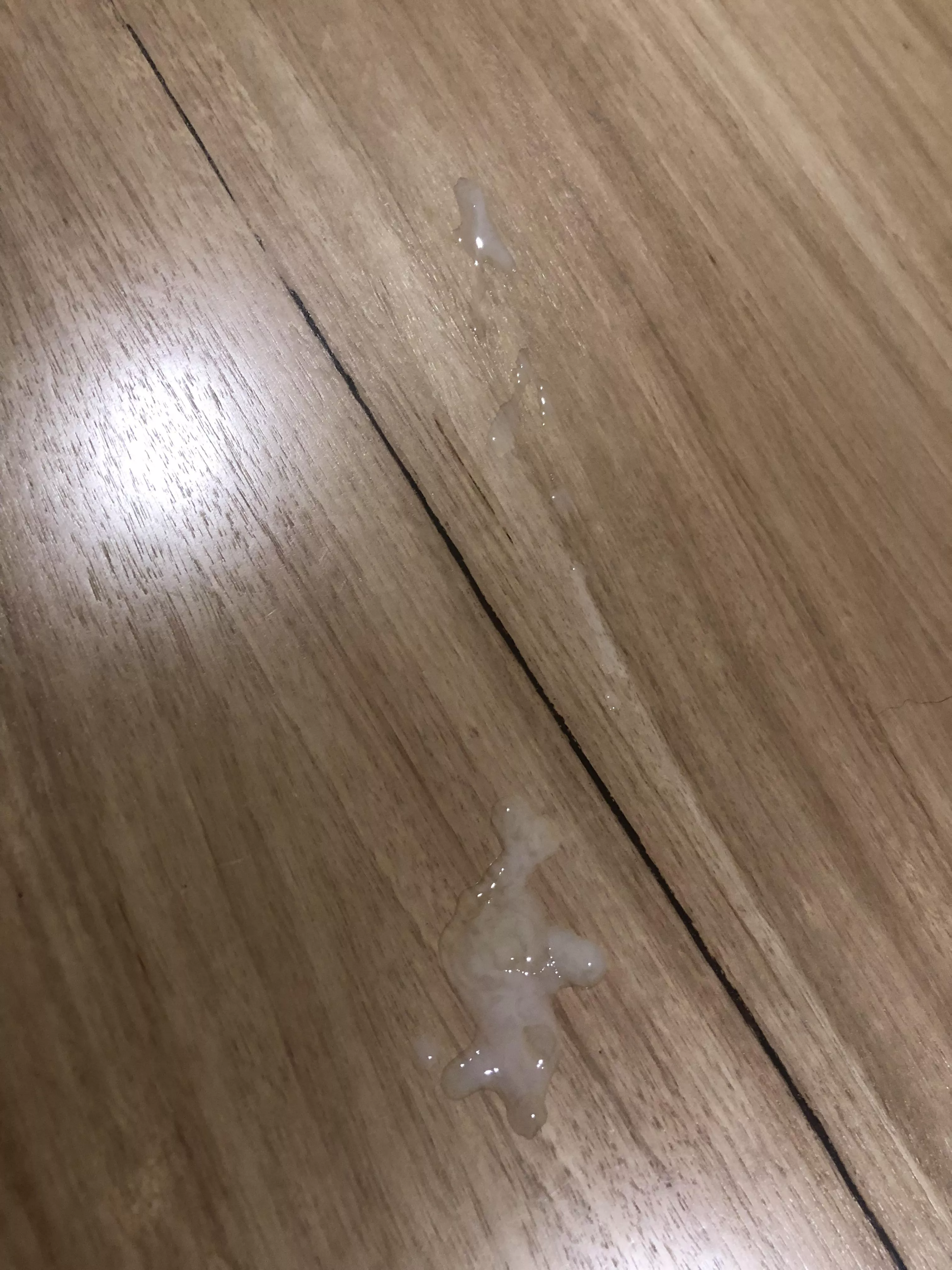 So horny had it wank before breakfast