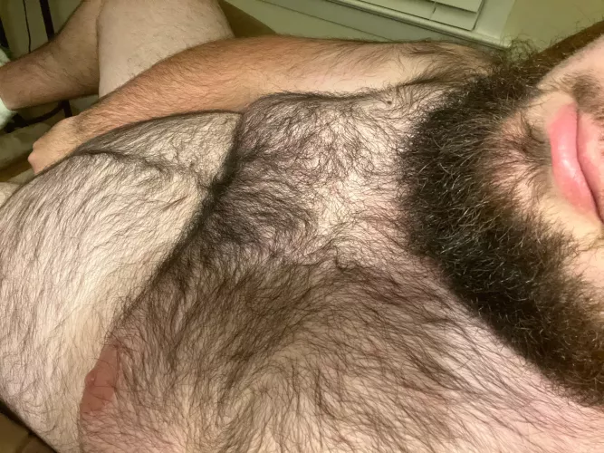 The DMs that I’m getting sent are making me a ranging bull tonight. Someone might eventually finish me off.