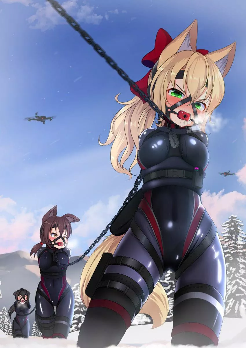 They will walk to their new home