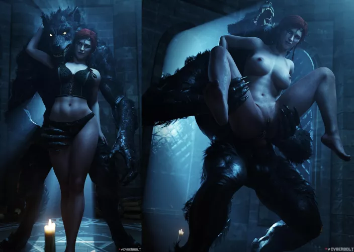 Triss's catch (Cyberbolt) [The Witcher]