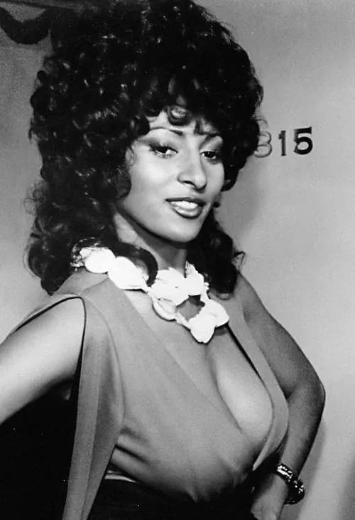 Voluptuous Pam Grier