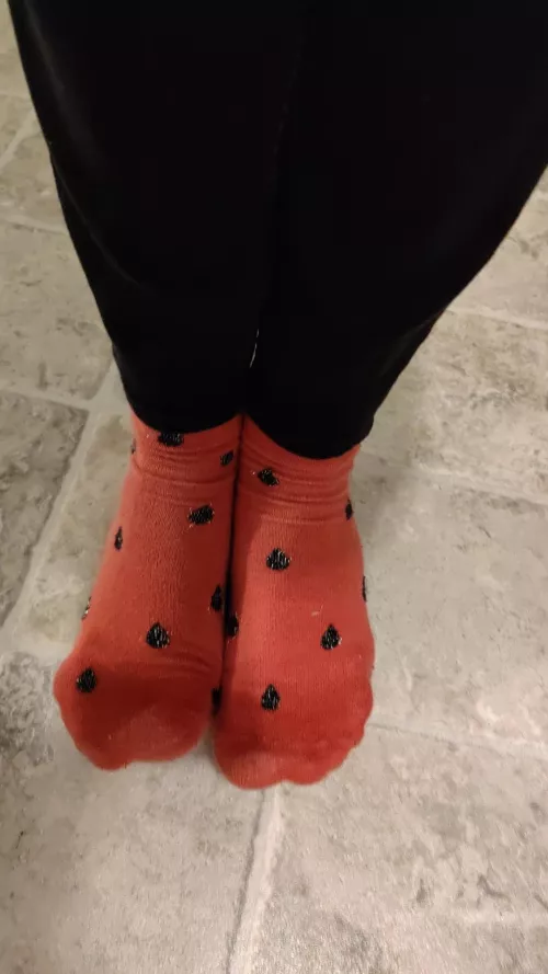 who doesn't enjoy a little juicy watermelon 🍉