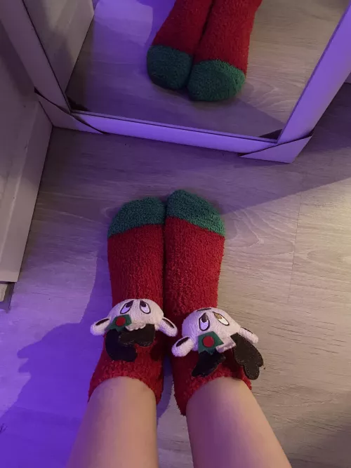 Wild socks for you wild boy