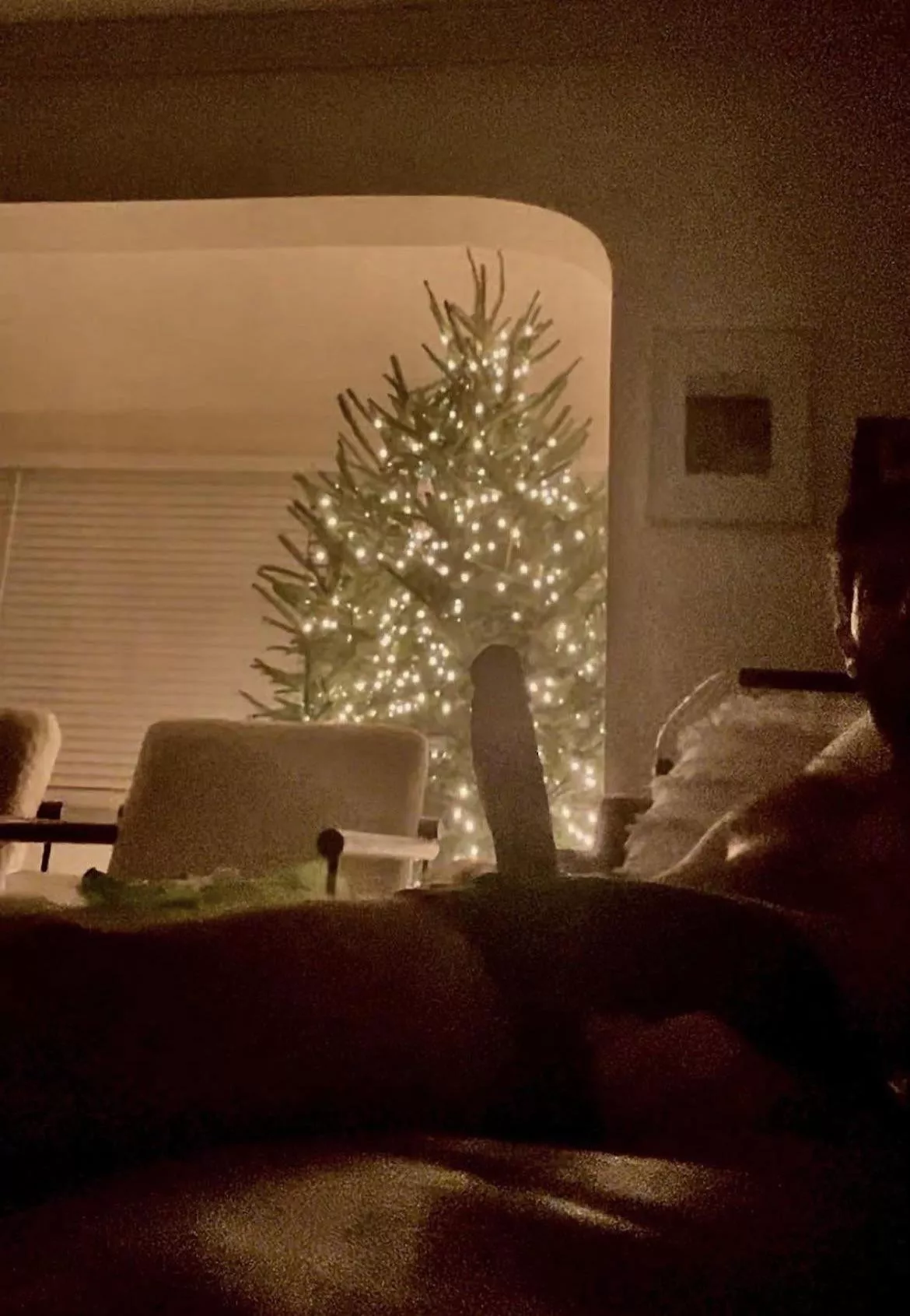 Would you like your present wrapped or unwrapped?