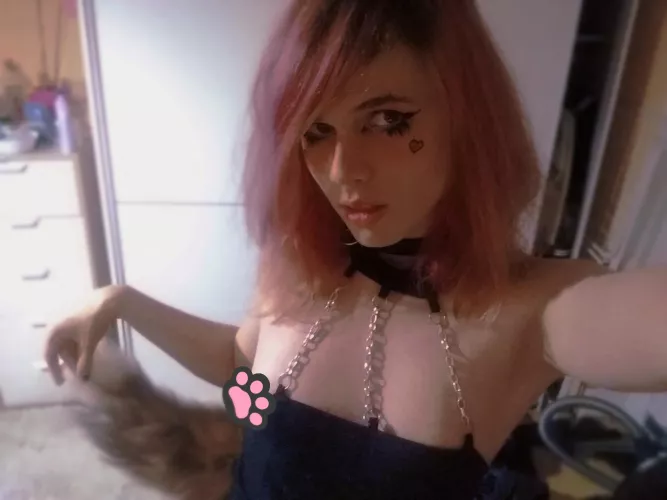 would you pet me;3 im very cuddly