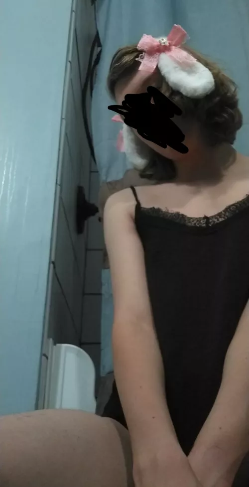 Y'all like trans bunny girls here?