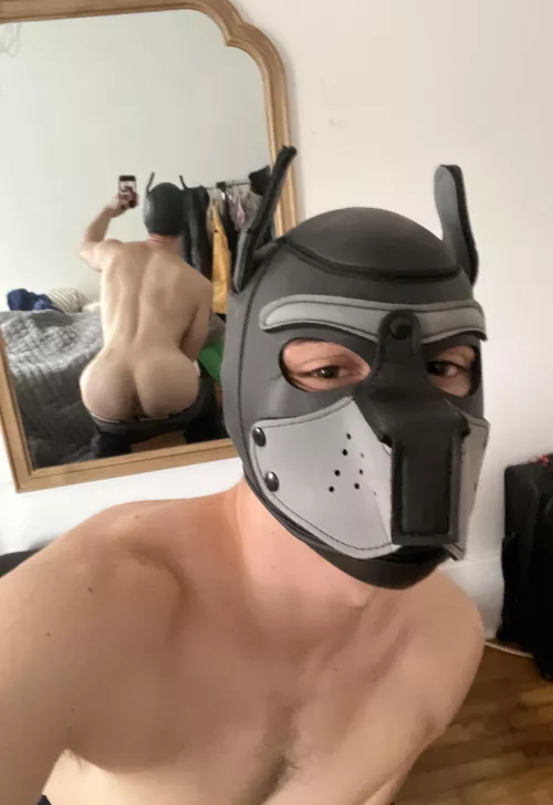 any doms need a new sub pup? :)