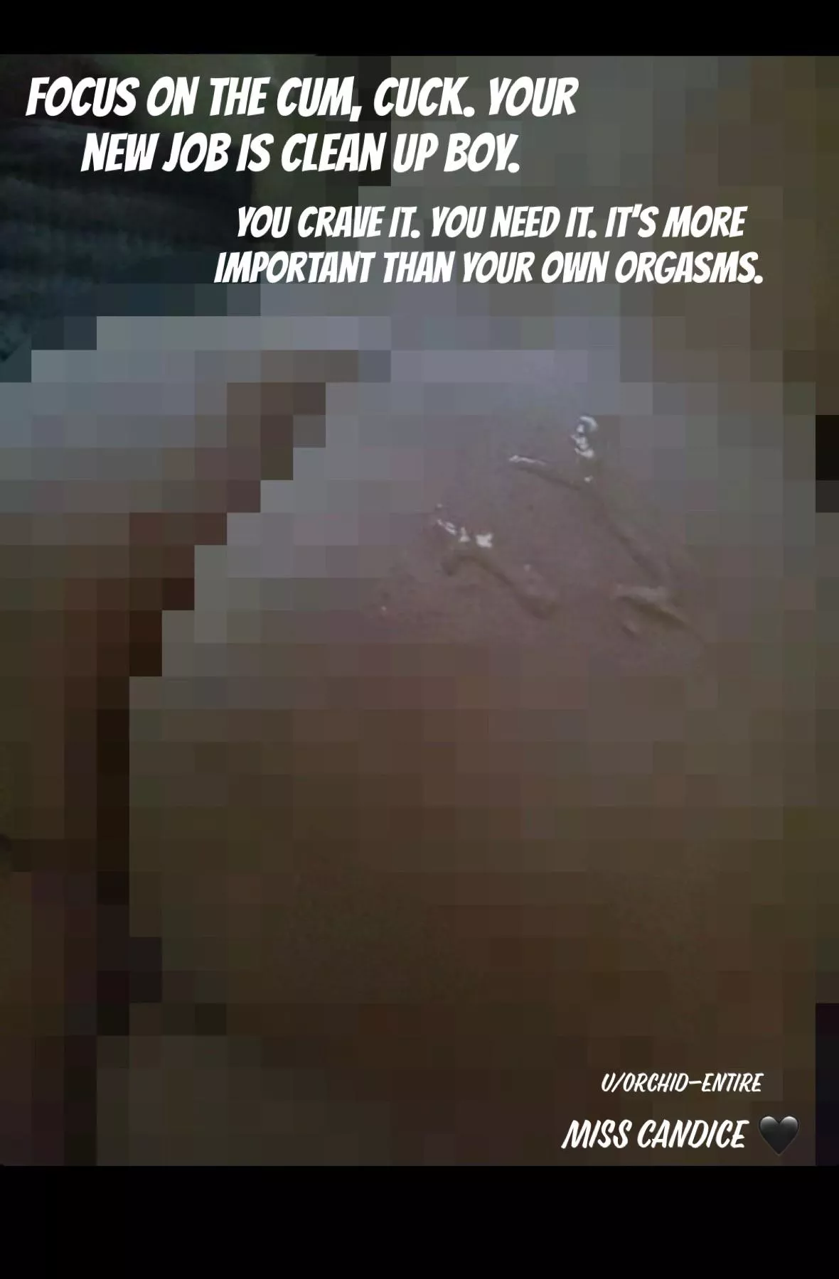 Clean up cucks love their job 😏🖤