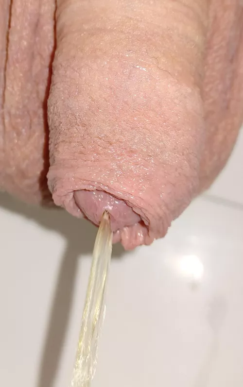 Cock pissing