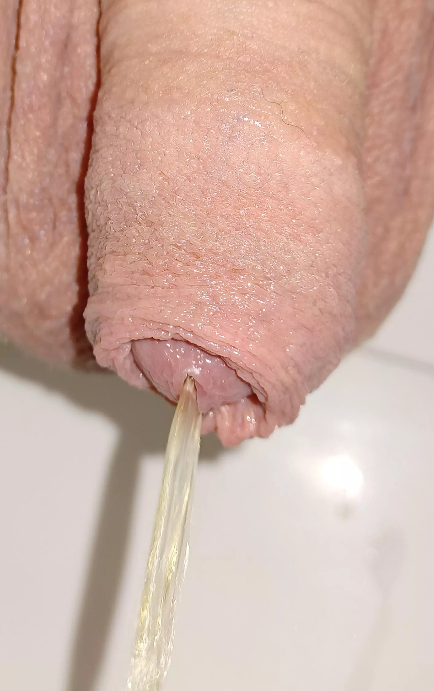 Cock pissing