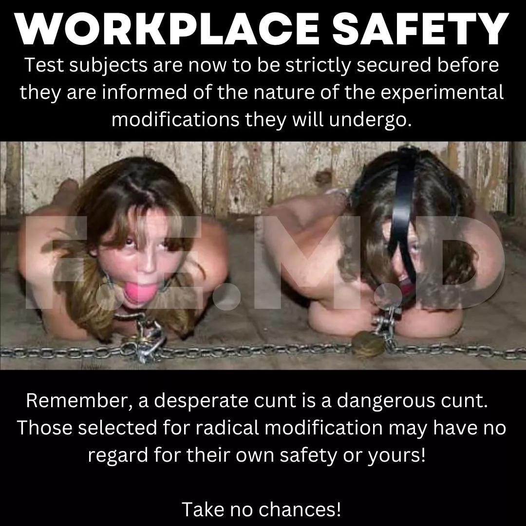 Col. Hamill's new XO has initiated a new FEMD safety campaign.