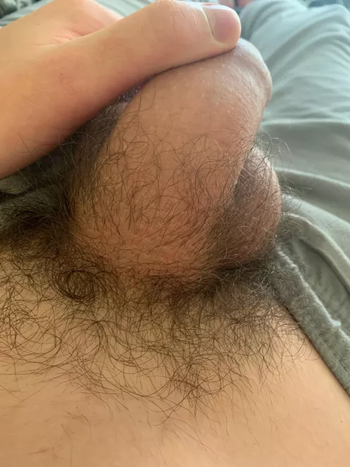 Don’t feel like shaving