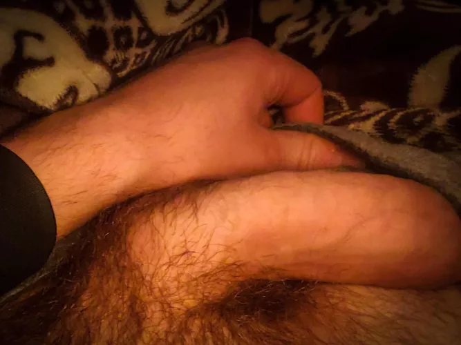 Fat hairy Arab cock. Almost as thick as my wrist.