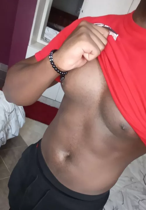 For Christmas, I want a harness