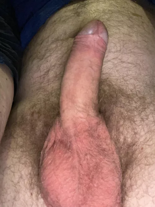 Good morning , Scottish daddy (52)