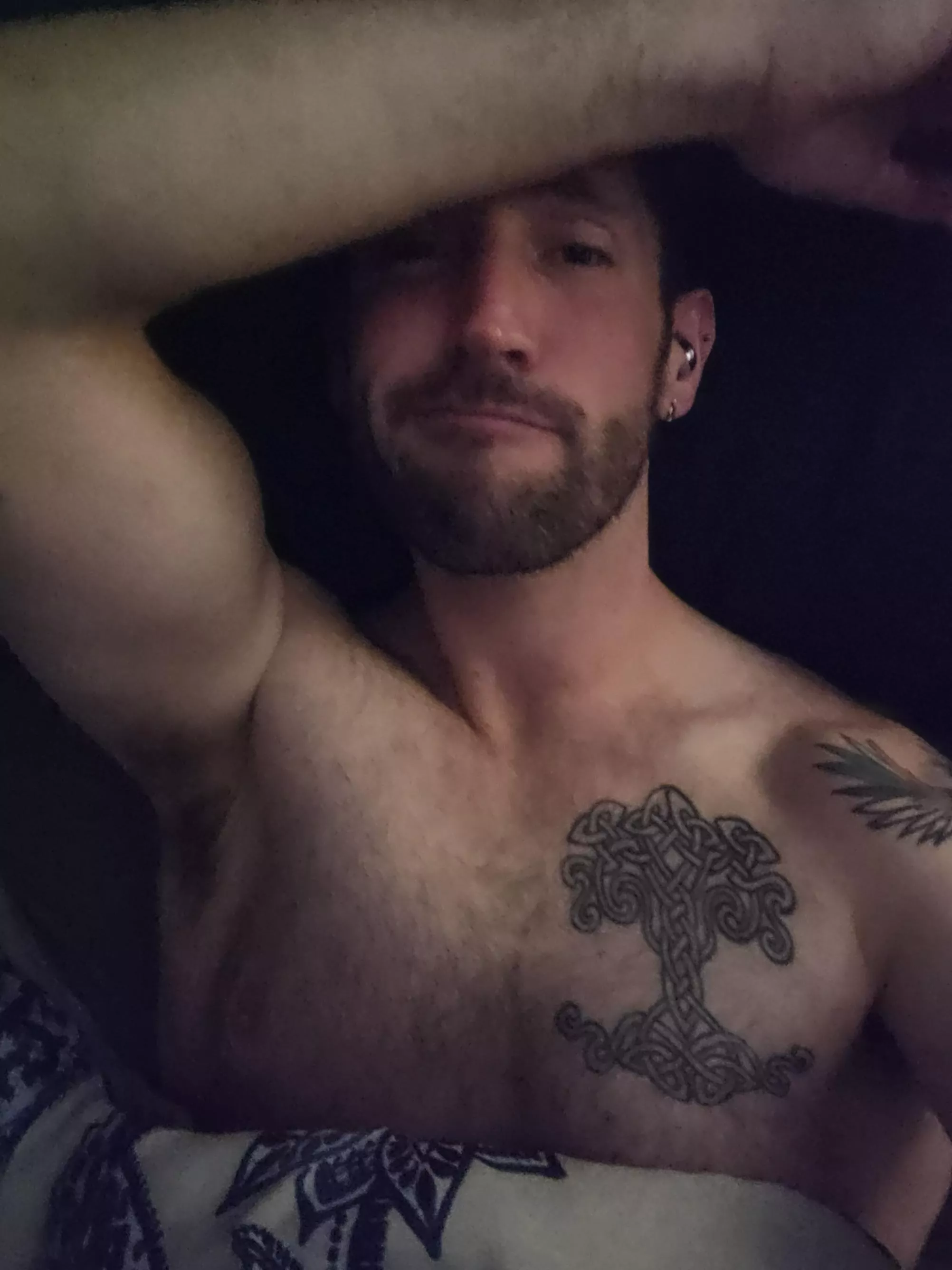 good night and sweet dreams beautiful