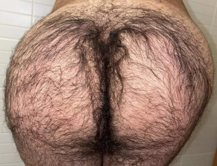 haven’t posted in a while