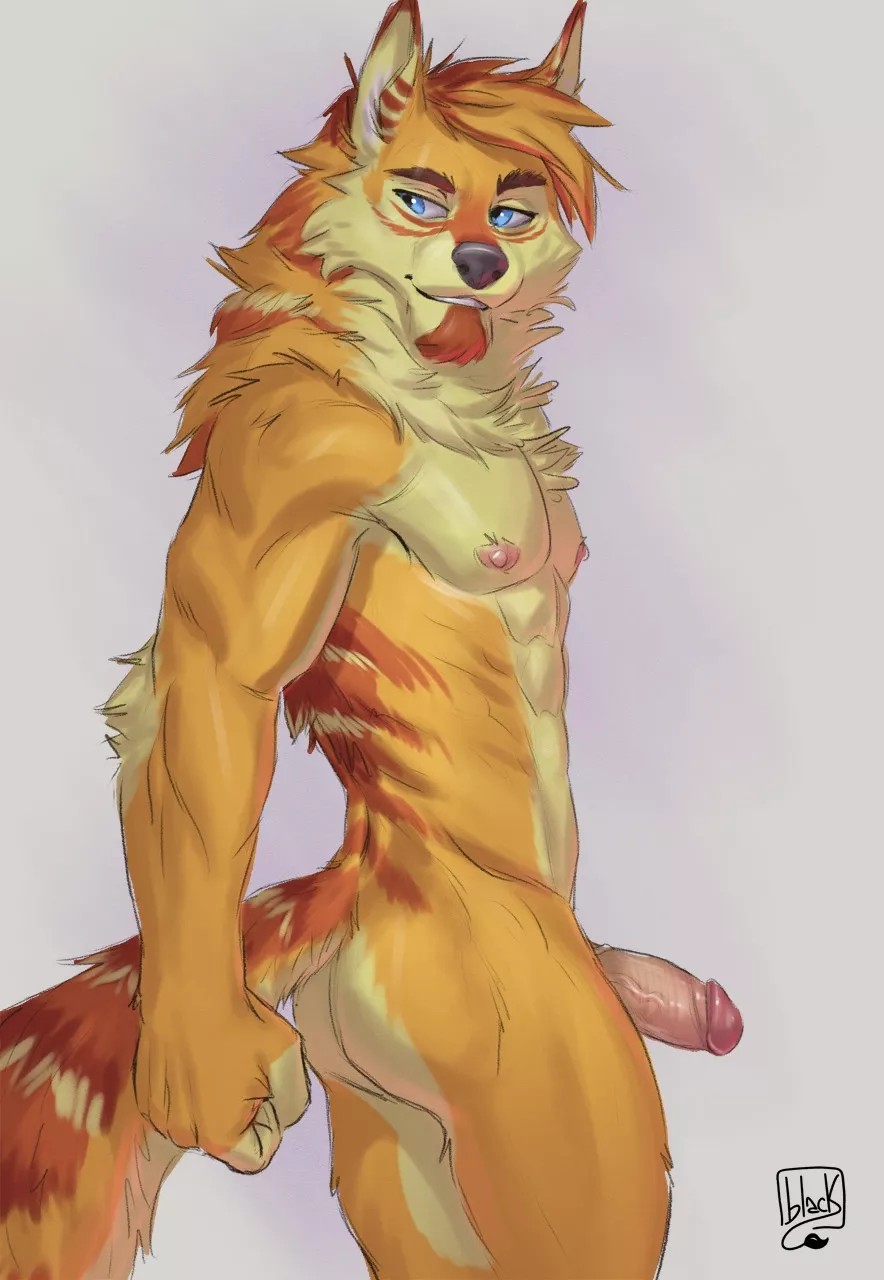 Hot Sight (lion21)