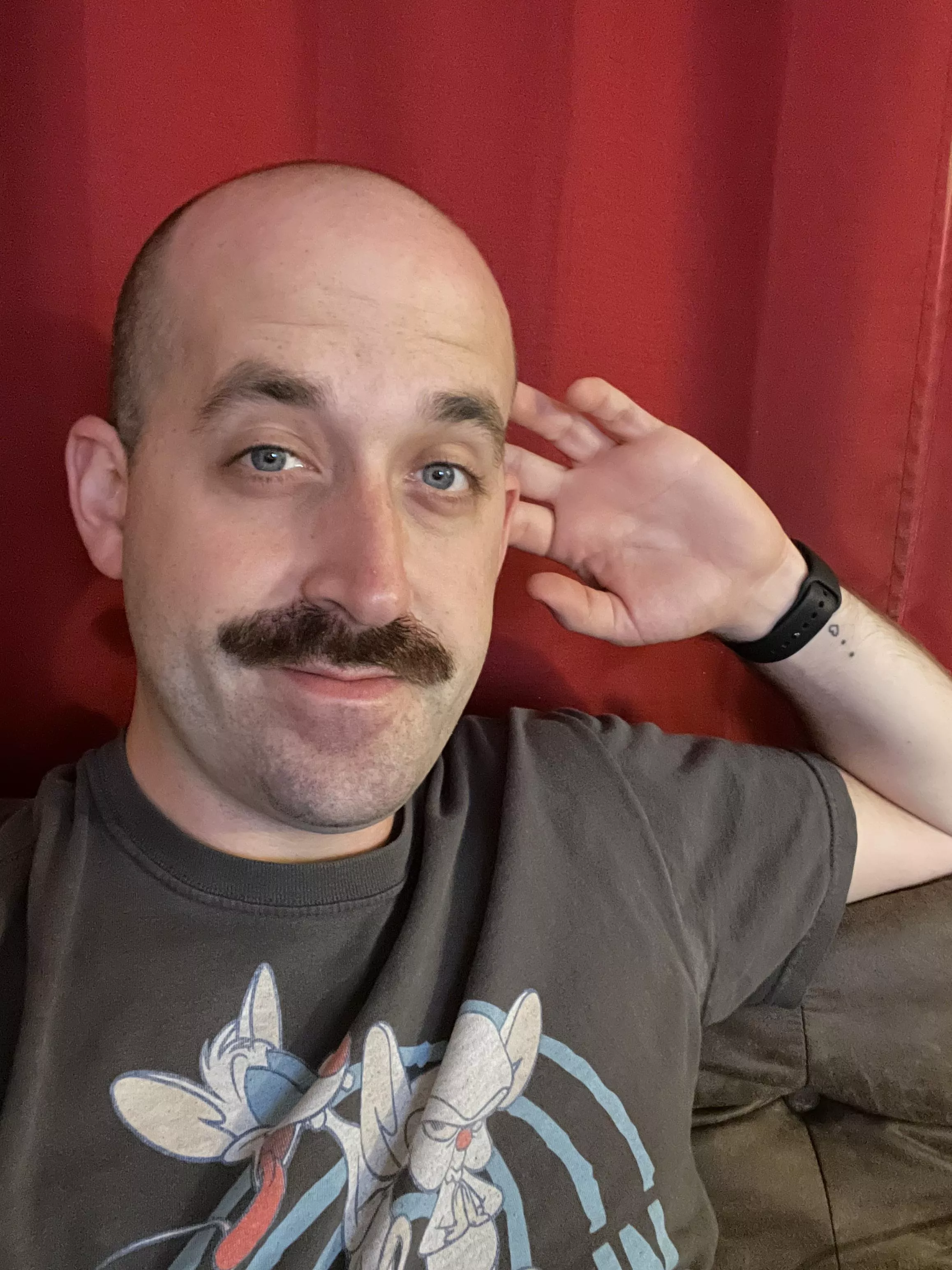 I mustache you a question