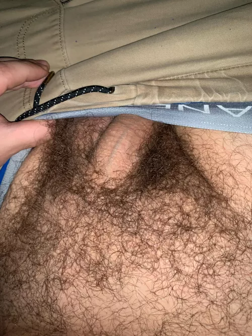 Keep or shave ?