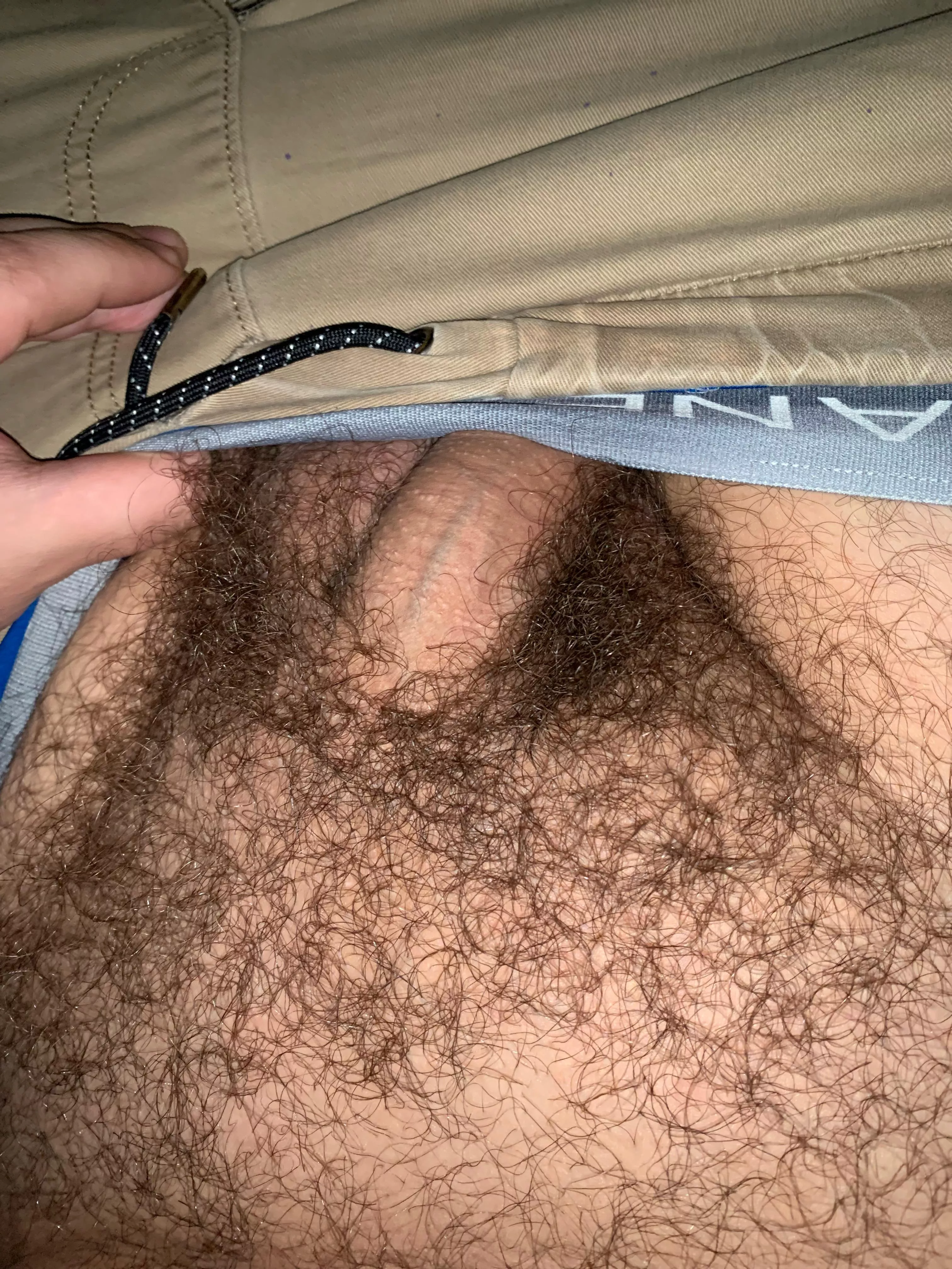 Keep or shave ?