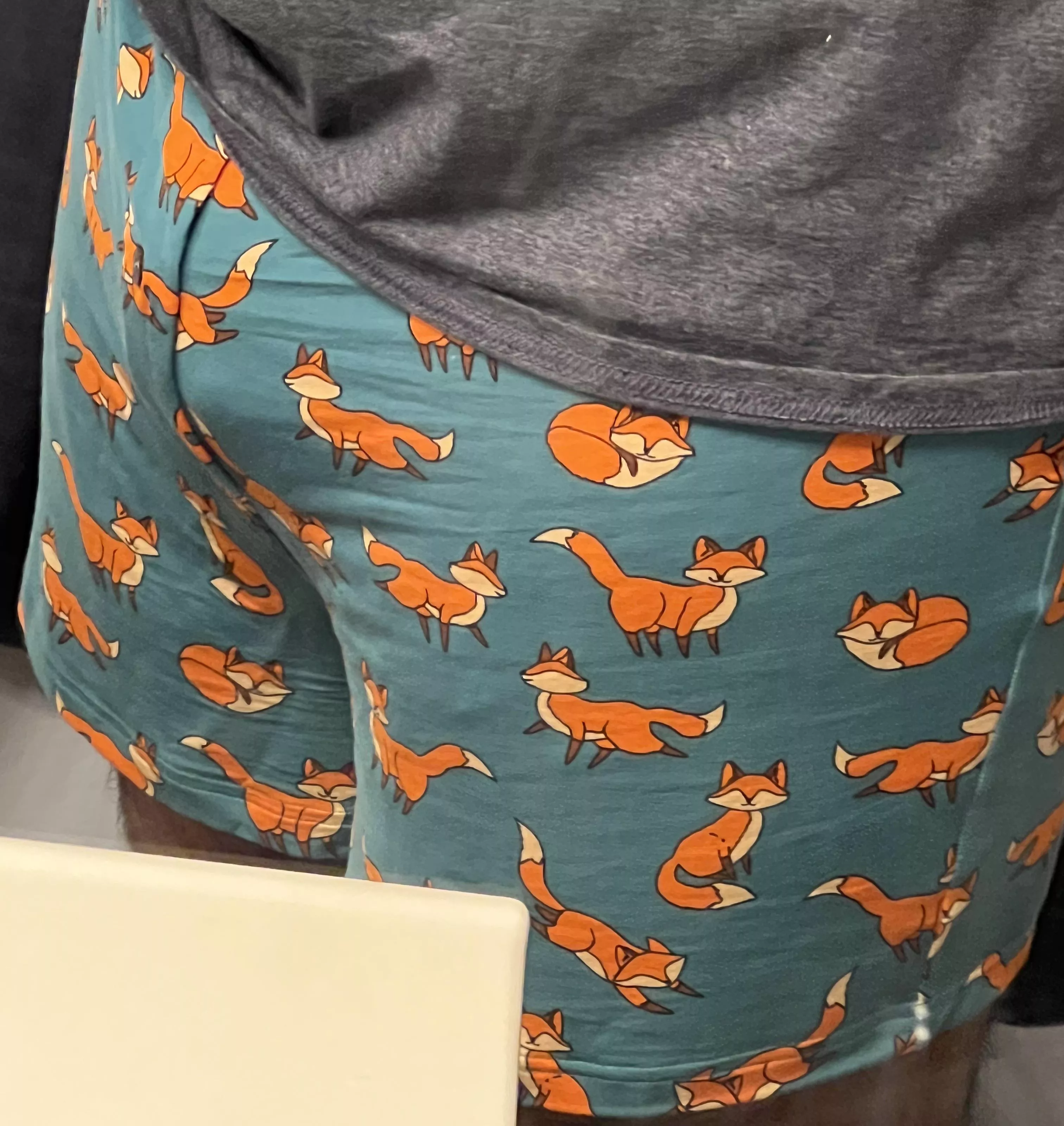 Love these cute foxes!