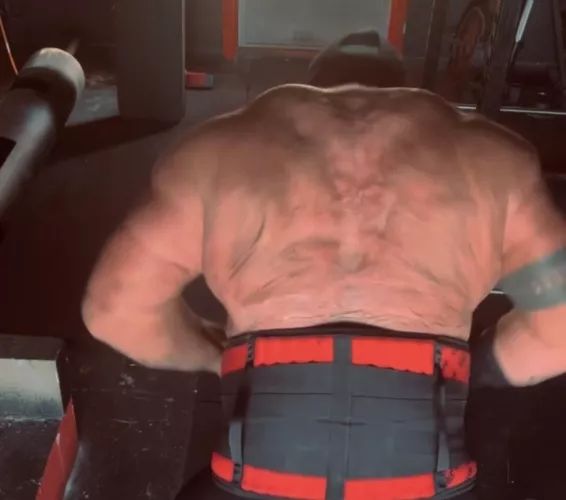 [M] Thick back with some scars 😈