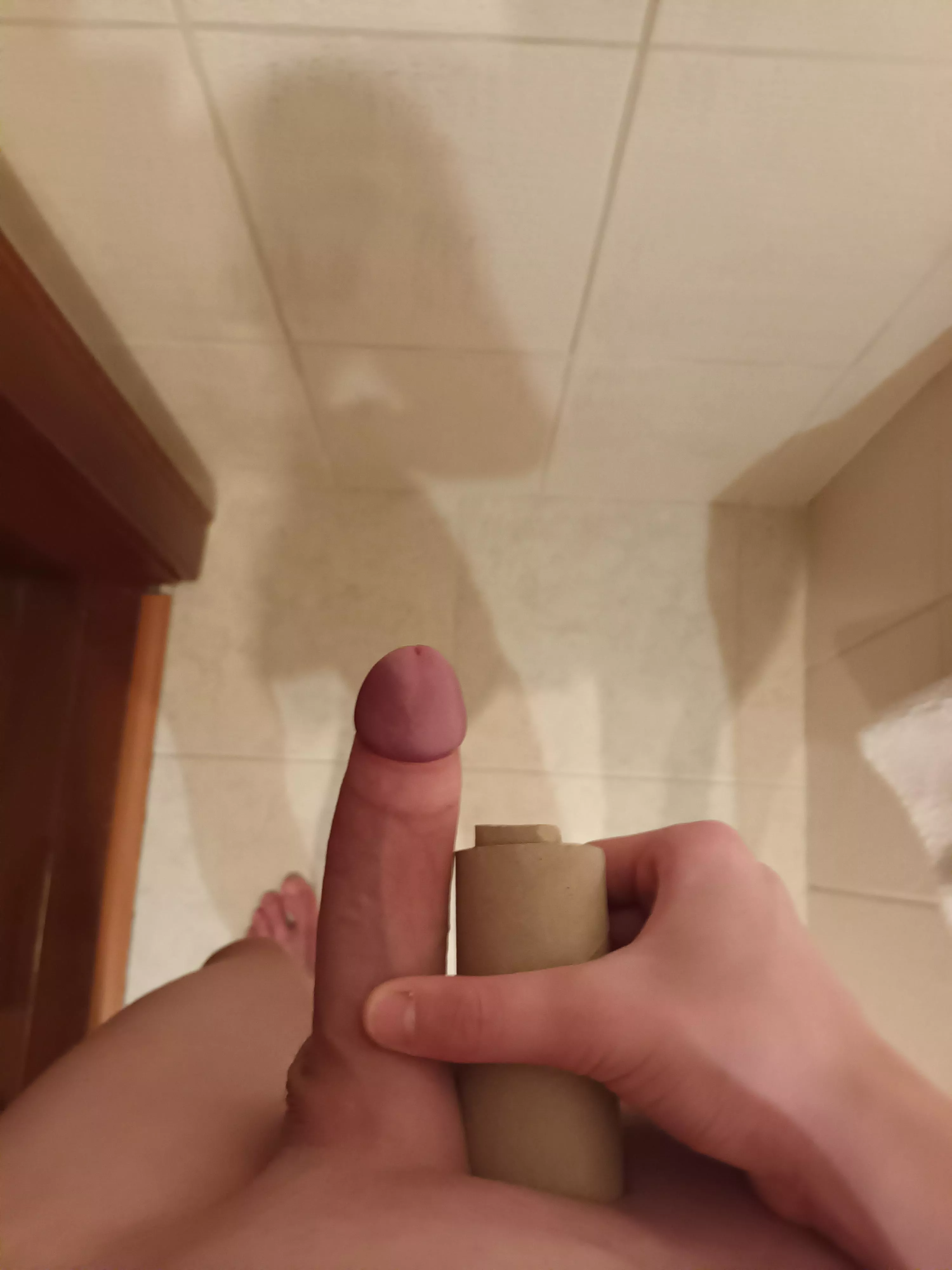 My cock and toilet paper