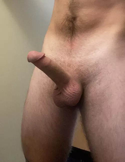 My horny teen dick