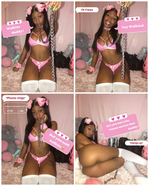 New Puppy to Reddit, just wanted to say Hi 🐶