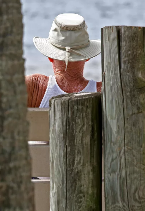 Old wood on the beach