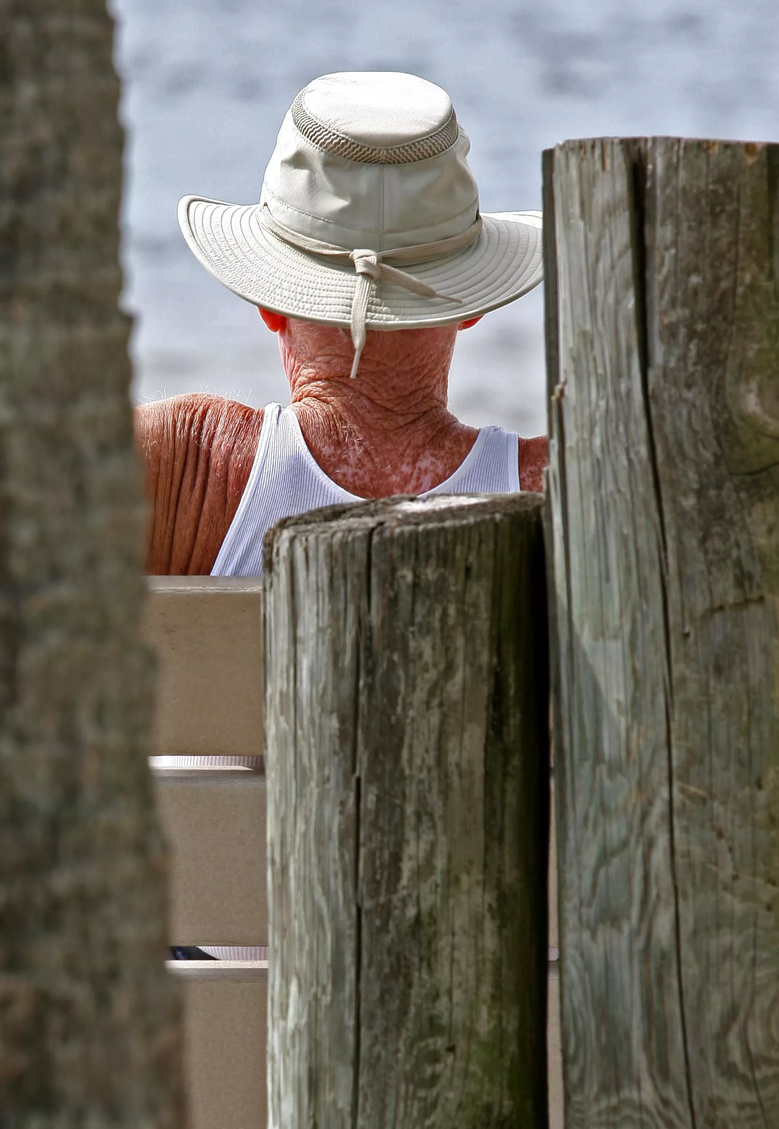 Old wood on the beach