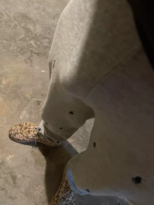 Outlines lurk in the shadows…