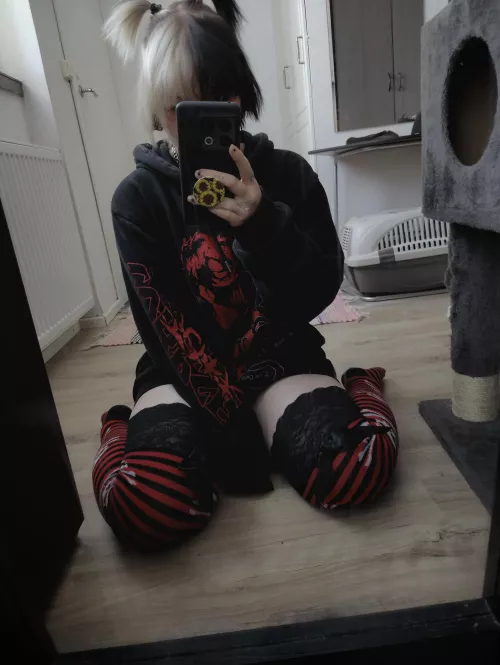 Really love these thigh highs 😍