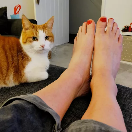 The fur child might not like my red toes, but I love them🥰