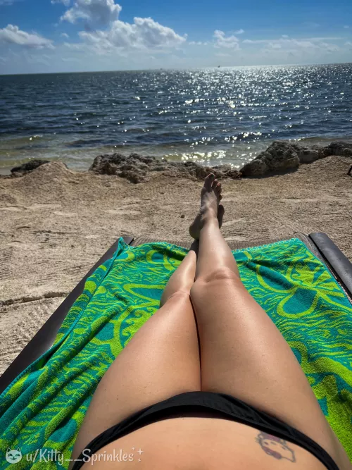 There’s nothing like a nice view in the warm sun. (=^•^=) [f]