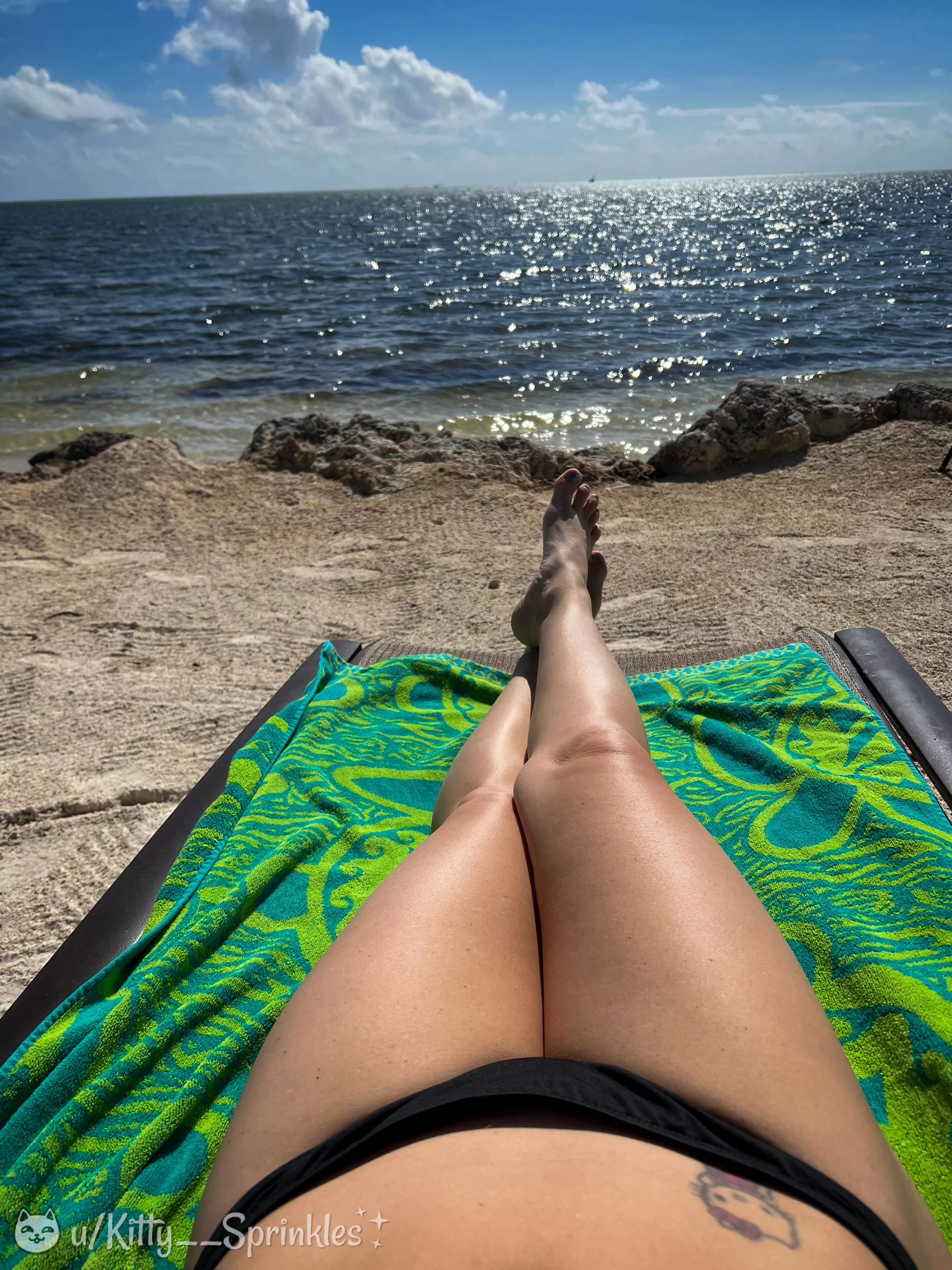 There’s nothing like a nice view in the warm sun. (=^•^=) [f]