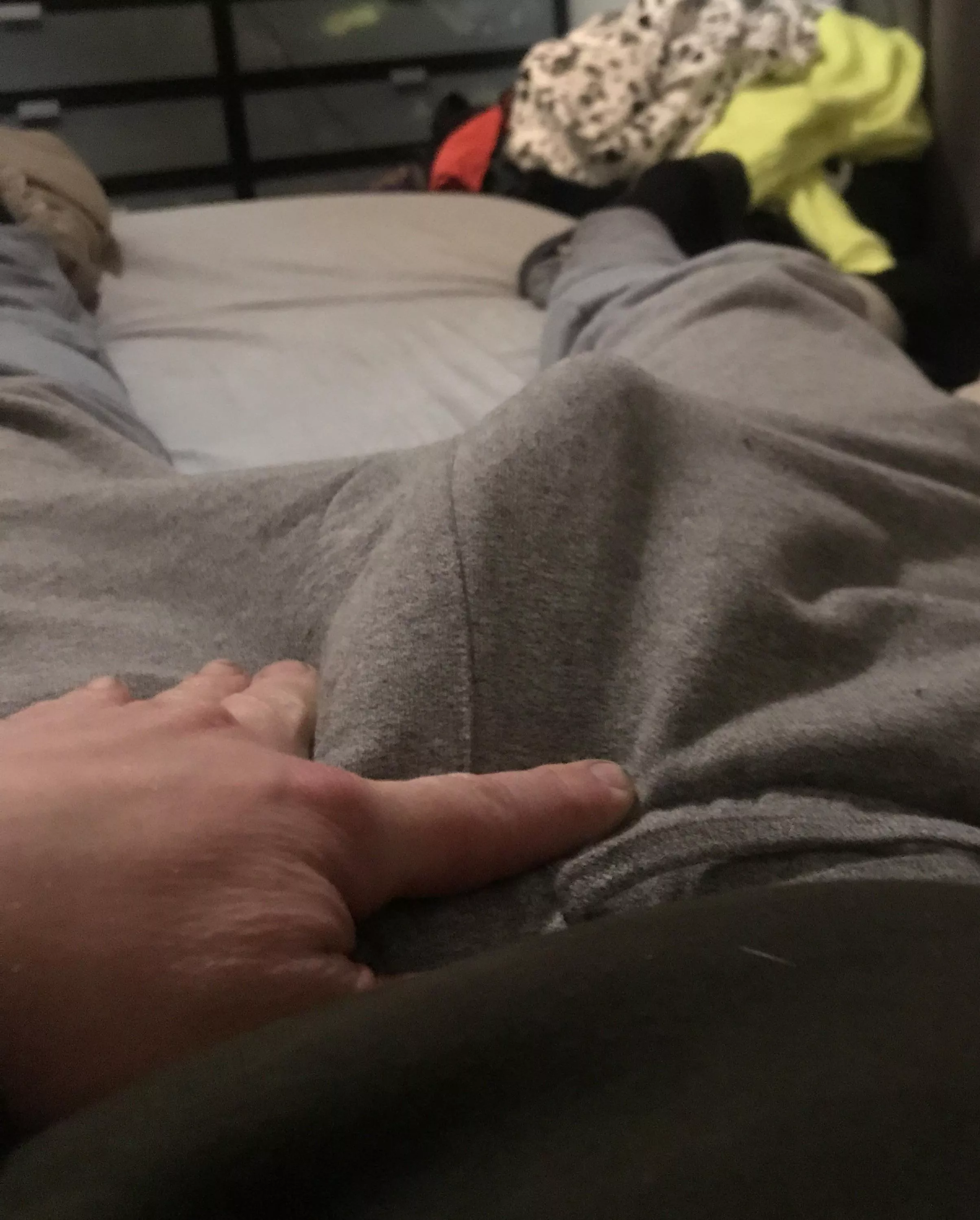 ‘Tis the season for gray…