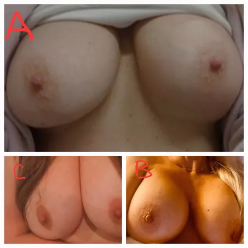 which are your favorite?