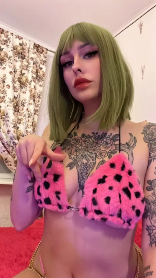 Your place is on the floor, under my foot